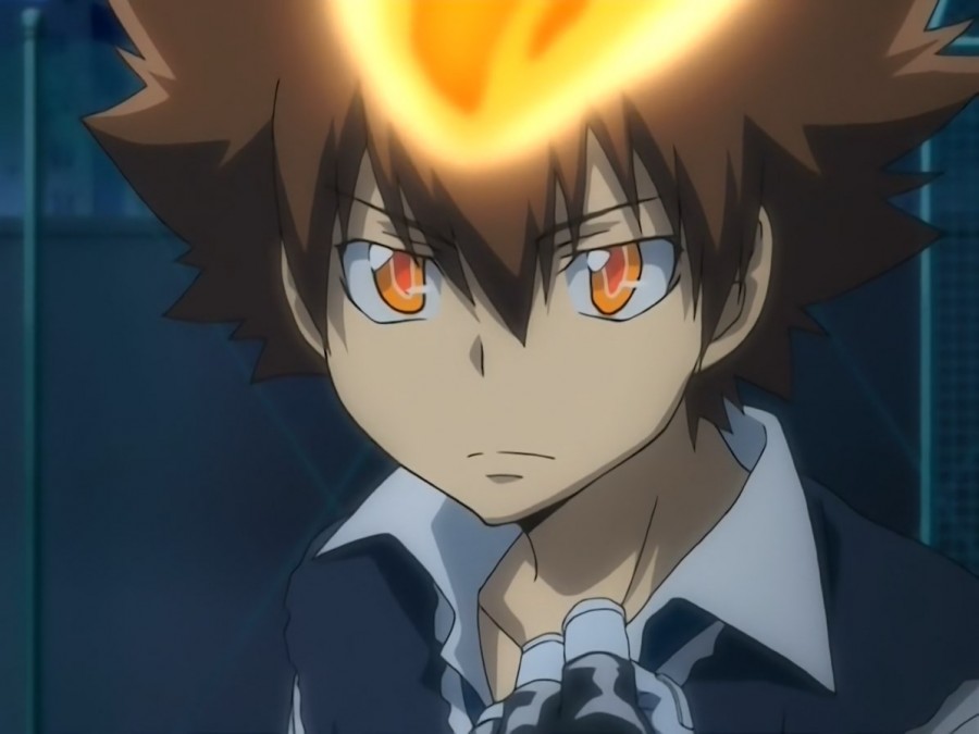 Katekyo Hitman Reborn, Perfis & Cross Wiki